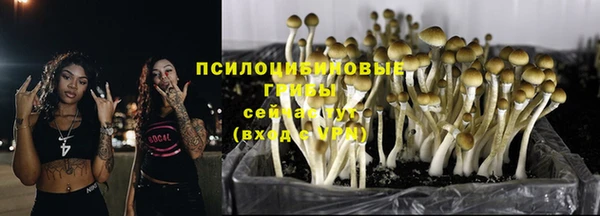 а пвп мука Лагань