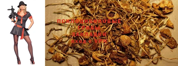 mdma Куйбышев