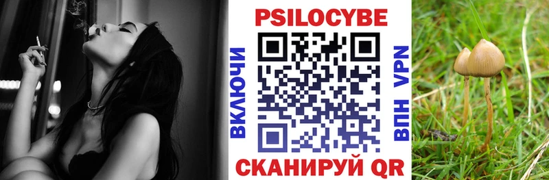 Псилоцибиновые грибы Psilocybine cubensis  магазин продажи   Ужур 