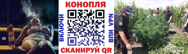 Бошки Шишки VHQ  Ужур 